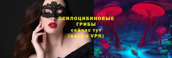 прущие крисы Осинники
