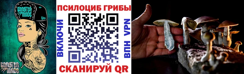Галлюциногенные грибы Magic Shrooms  закладки  Кинель 